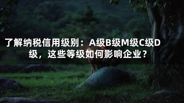 了解纳税信用级别：A级B级M级C级D级，这些等级如何影响企业？