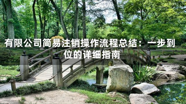 有限公司简易注销操作流程总结：一步到位的详细指南
