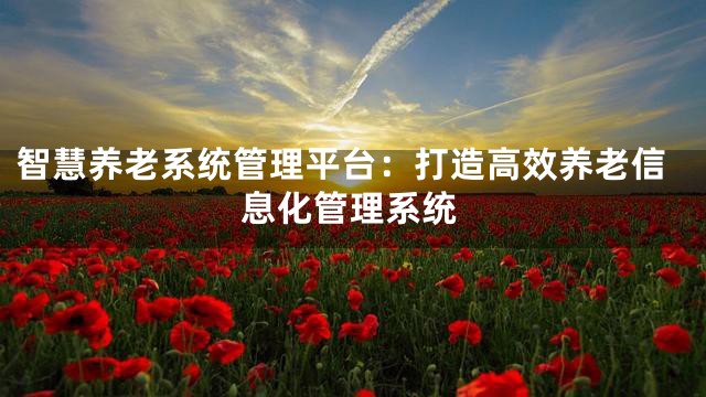智慧养老系统管理平台：打造高效养老信息化管理系统