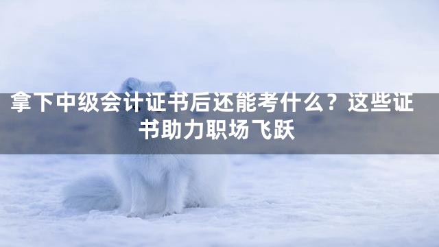 拿下中级会计证书后还能考什么？这些证书助力职场飞跃