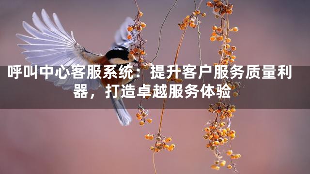 呼叫中心客服系统：提升客户服务质量利器，打造卓越服务体验