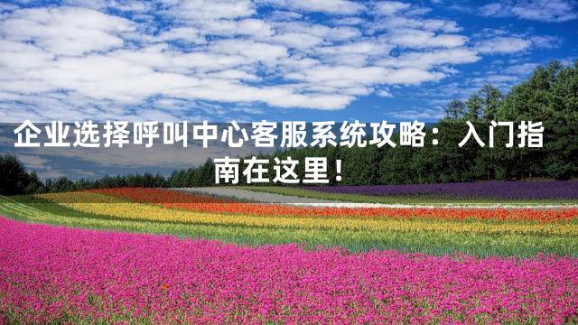 企业选择呼叫中心客服系统攻略：入门指南在这里！