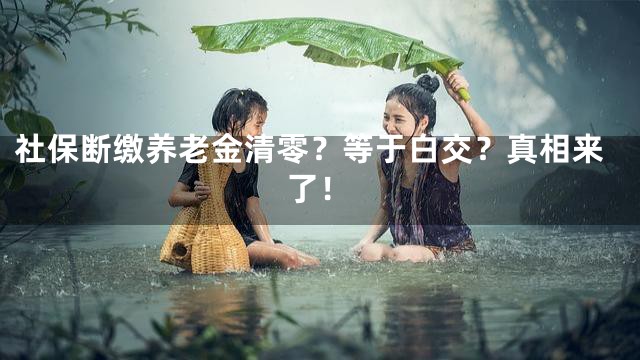 社保断缴养老金清零？等于白交？真相来了！