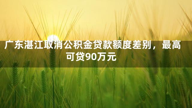 广东湛江取消公积金贷款额度差别，最高可贷90万元