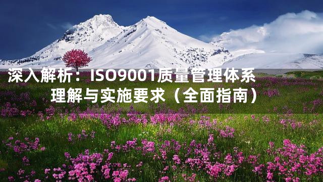 深入解析：ISO9001质量管理体系理解与实施要求（全面指南）