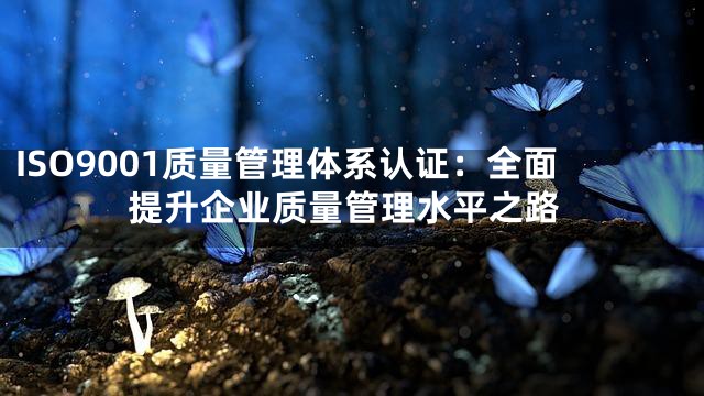 ISO9001质量管理体系认证：全面提升企业质量管理水平之路