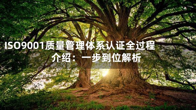 ISO9001质量管理体系认证全过程介绍：一步到位解析