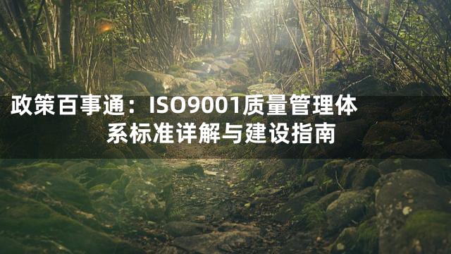 政策百事通：ISO9001质量管理体系标准详解与建设指南