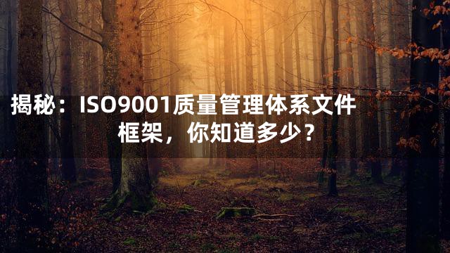 揭秘：ISO9001质量管理体系文件框架，你知道多少？