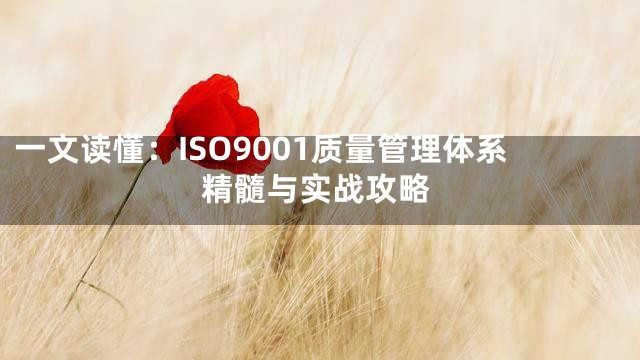 一文读懂：ISO9001质量管理体系精髓与实战攻略