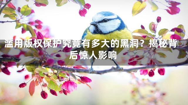 滥用版权保护究竟有多大的黑洞？揭秘背后惊人影响