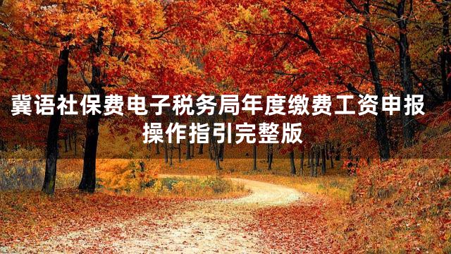 冀语社保费电子税务局年度缴费工资申报操作指引完整版