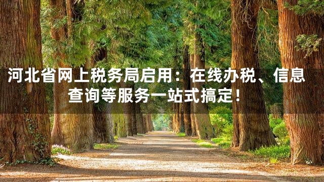 河北省网上税务局启用：在线办税、信息查询等服务一站式搞定！