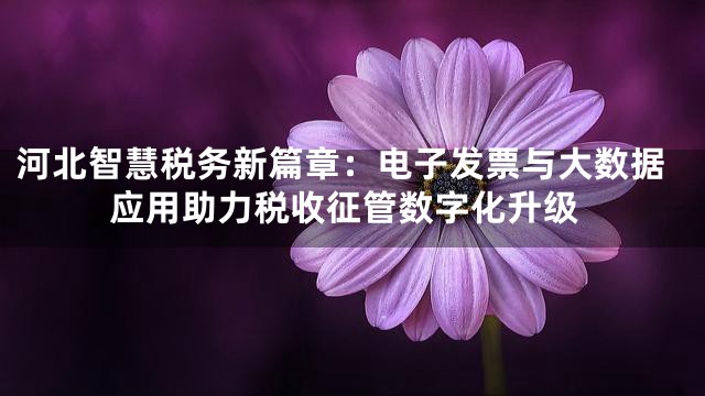 河北智慧税务新篇章：电子发票与大数据应用助力税收征管数字化升级