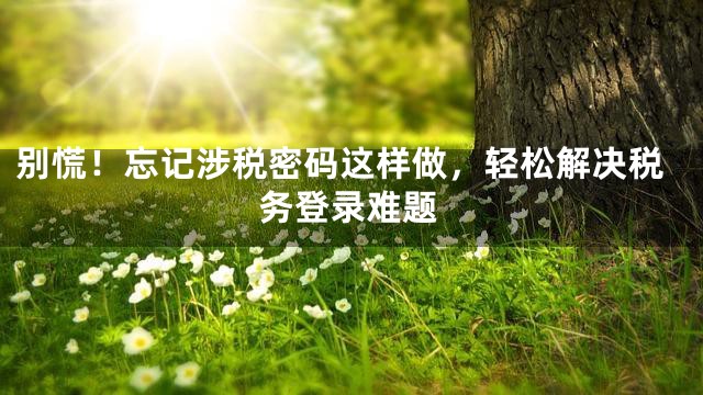 别慌！忘记涉税密码这样做，轻松解决税务登录难题