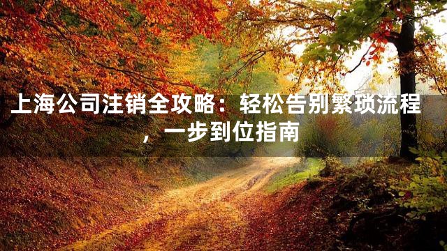 上海公司注销全攻略：轻松告别繁琐流程，一步到位指南