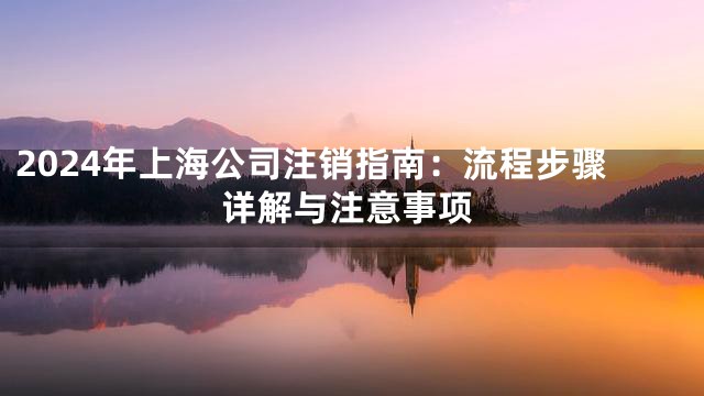 2024年上海公司注销指南：流程步骤详解与注意事项