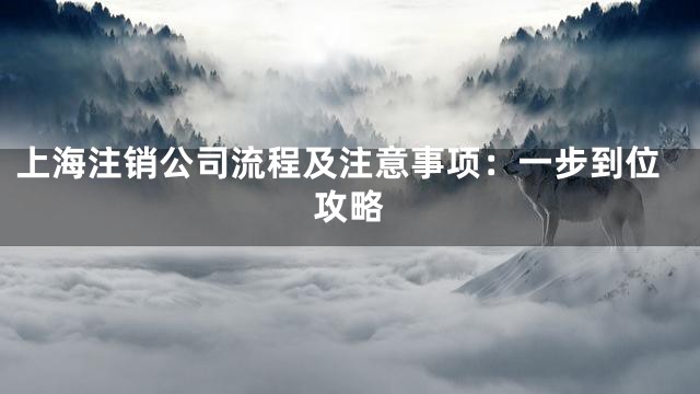上海注销公司流程及注意事项：一步到位攻略