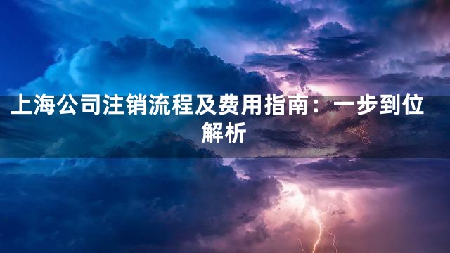 上海公司注销流程及费用指南：一步到位解析