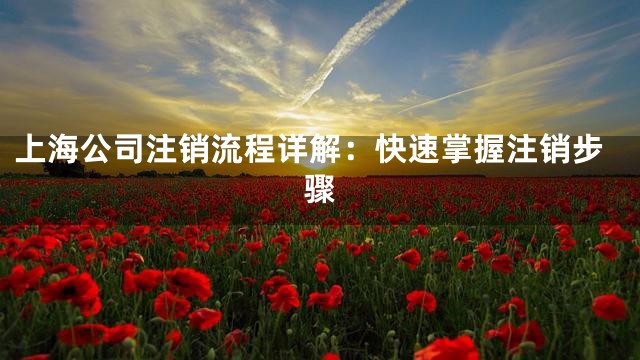 上海公司注销流程详解：快速掌握注销步骤
