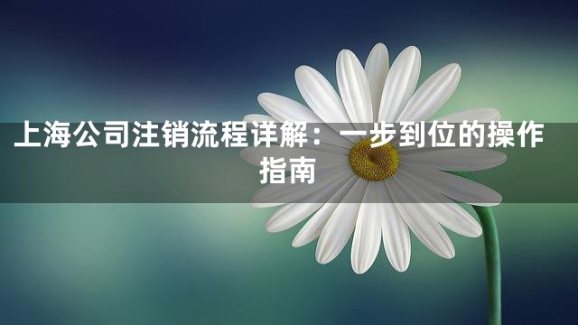 上海公司注销流程详解：一步到位的操作指南