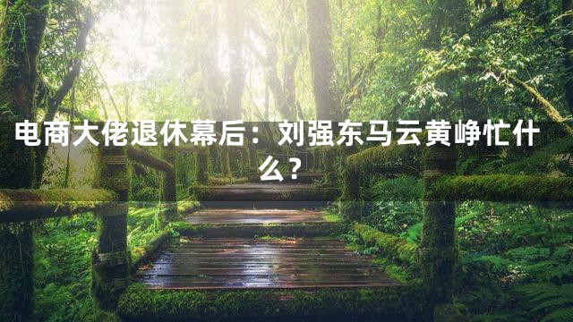 电商大佬退休幕后：刘强东马云黄峥忙什么？