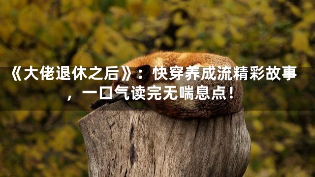 《大佬退休之后》：快穿养成流精彩故事，一口气读完无喘息点！