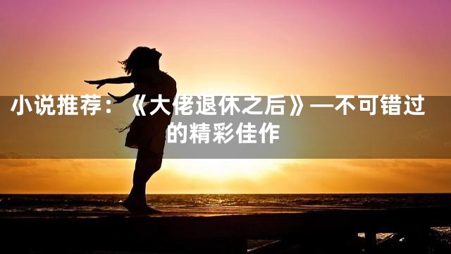 小说推荐：《大佬退休之后》—不可错过的精彩佳作