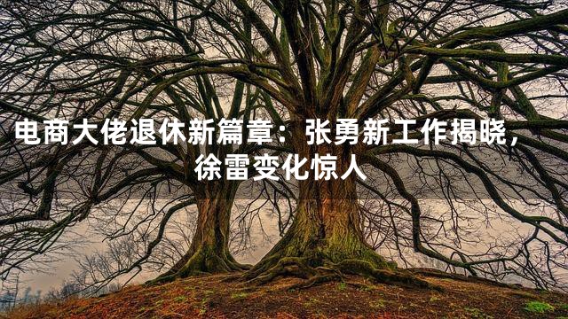电商大佬退休新篇章：张勇新工作揭晓，徐雷变化惊人