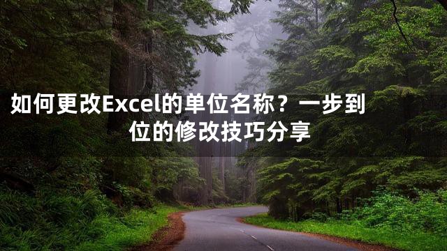 如何更改Excel的单位名称？一步到位的修改技巧分享
