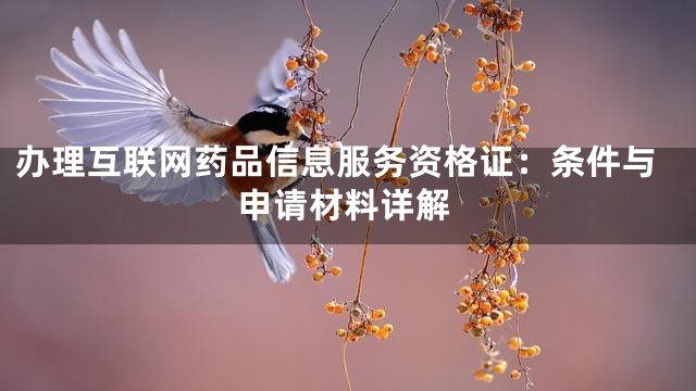 办理互联网药品信息服务资格证：条件与申请材料详解