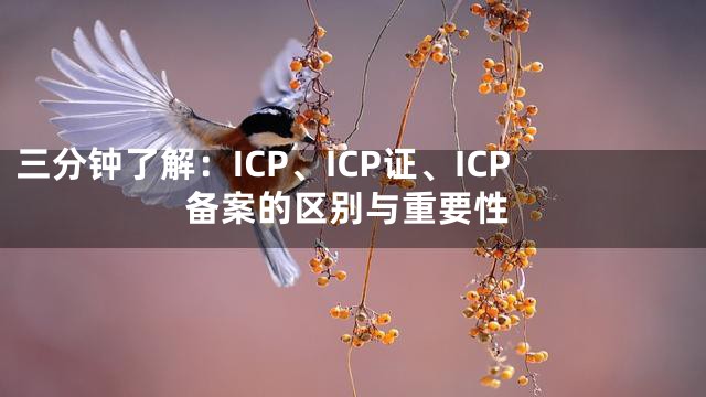 三分钟了解：ICP、ICP证、ICP备案的区别与重要性