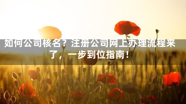 如何公司核名？注册公司网上办理流程来了，一步到位指南！