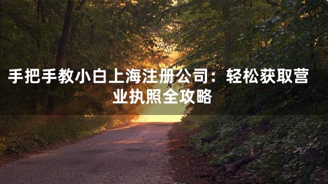 手把手教小白上海注册公司：轻松获取营业执照全攻略