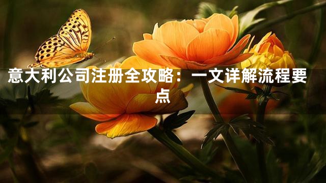 意大利公司注册全攻略：一文详解流程要点