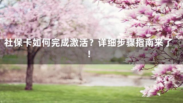 社保卡如何完成激活？详细步骤指南来了！