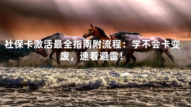 社保卡激活最全指南附流程：学不会卡变废，速看避雷！