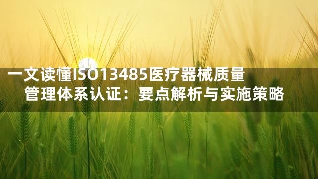一文读懂ISO13485医疗器械质量管理体系认证：要点解析与实施策略