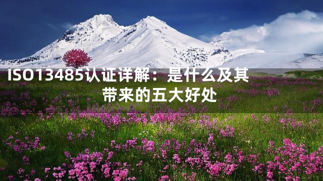 ISO13485认证详解：是什么及其带来的五大好处
