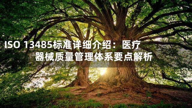 ISO 13485标准详细介绍：医疗器械质量管理体系要点解析