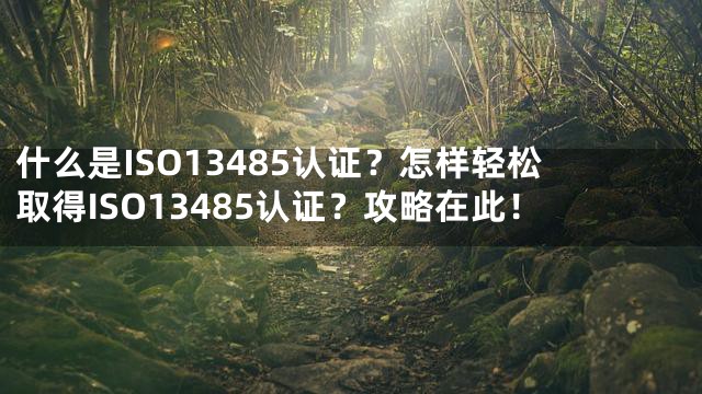 什么是ISO13485认证？怎样轻松取得ISO13485认证？攻略在此！