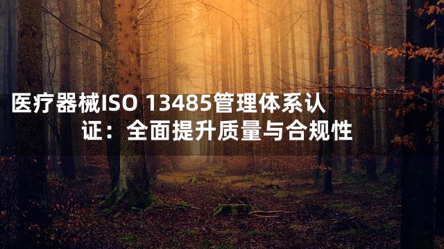 医疗器械ISO 13485管理体系认证：全面提升质量与合规性
