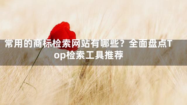 常用的商标检索网站有哪些？全面盘点Top检索工具推荐