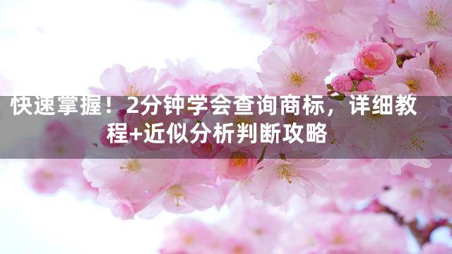 快速掌握！2分钟学会查询商标，详细教程+近似分析判断攻略