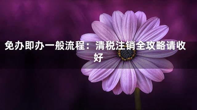 免办即办一般流程：清税注销全攻略请收好