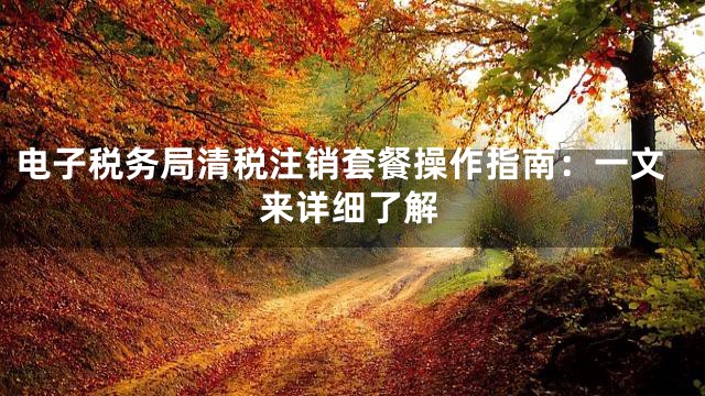 电子税务局清税注销套餐操作指南：一文来详细了解