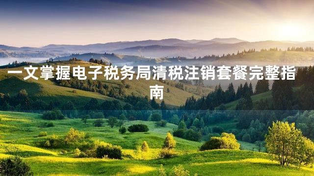 一文掌握电子税务局清税注销套餐完整指南