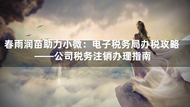 春雨润苗助力小微：电子税务局办税攻略——公司税务注销办理指南