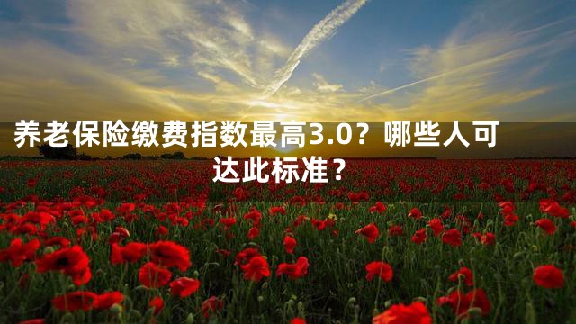养老保险缴费指数最高3.0？哪些人可达此标准？