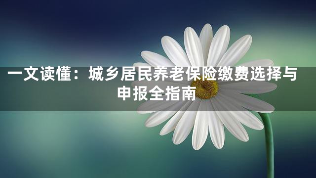 一文读懂：城乡居民养老保险缴费选择与申报全指南